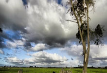 东升国际官网：[棋牌]高清-农心杯第14局决胜局 丁浩对决申真谞.