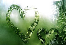 东升国际官网：助攻双响，罗马诺：曼城在1月份拒绝了切尔西对奥赖利多份报价.